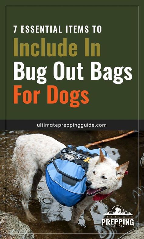 Pet Bug Out Bag, Food For Bug Out Bag, Dog Bug Out Bag, Bug Out Bag List Emergency Preparedness, Big Out Bag List, Survival Bag List, Bug In Prepping, Get Home Bag List, Bugout Bag Ideas