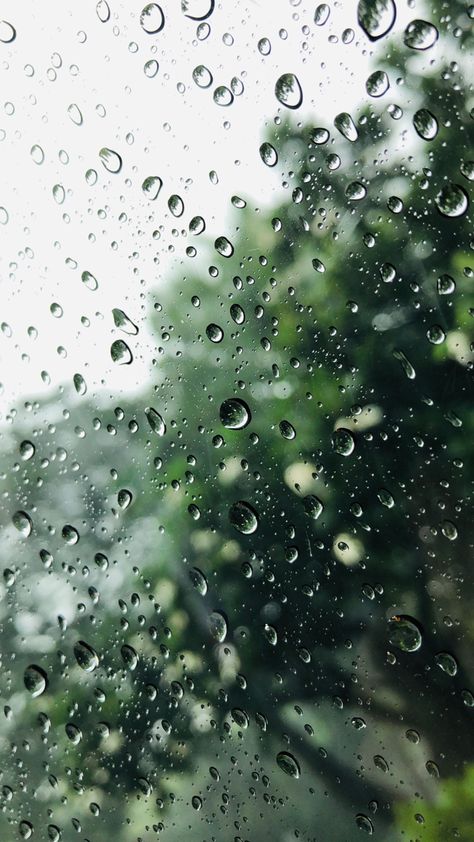 Rainy Wallpaper Iphone, Rainy Wallpaper, Rain Aesthetic, Smell Of Rain, Rainy Day Aesthetic, Rain Wallpapers, Day Aesthetic, Wallpaper Nature Flowers, Summer Rain