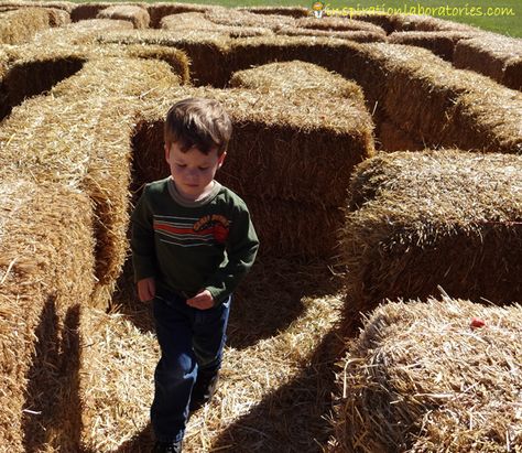 20 Maze Activities for Kids Straw Maze Maze Activities For Kids, Straw Maze, Maze Activities, Petting Zoo Birthday Party, Hay Maze, Fall Festival Games, Fall Harvest Party, Festival Games, Harvest Fest