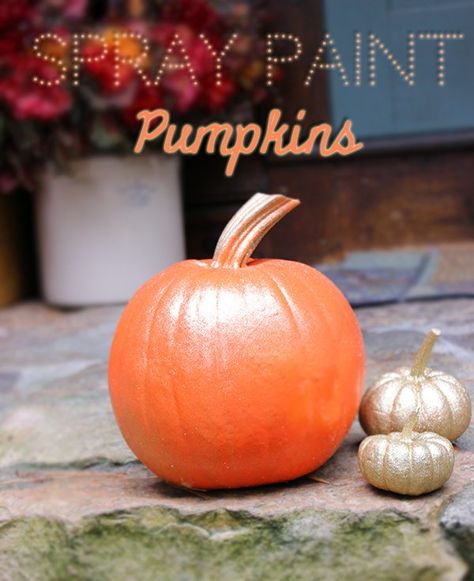 DIY Spray Paint Pumpkins | LIFESTYLE BLOG Spray Paint Pumpkins, Squash Recipes Soup, Diy Family Halloween Costumes, Fun Halloween Recipes, Spooky Board, Halloween Costumes You Can Make, Recipes Squash, Decorations Diy Party, Paint Pumpkins