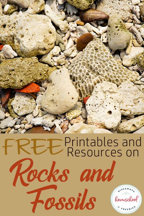 FREE Printables and Resources on Rocks and Fossils #homeschoolscience #rocksandfossils Different Types Of Rocks, Rock Science, Chemical And Physical Changes, Rock Identification, Rock Collecting, Rock Tumbling, About Earth, Fossil Hunting, Rocks And Fossils