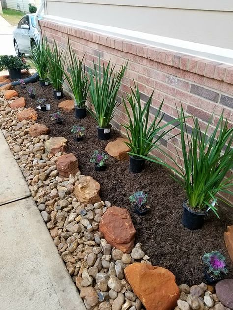 Plants In Mulch Landscaping Ideas, Flower Bed With Mulch And Rocks, Black Mulch Flower Bed, Rocks And Mulch Landscaping, Rock Mulch Landscaping, Landscaping With Mulch, Succulent Front Yard, Rock And Mulch Landscaping, Black Mulch Landscaping