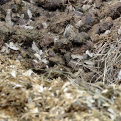 Solve the Manure Pile Problem Horse Manure For Garden, Horse Manure Management, Livestock Pens, Farming 101, Pasture Shelter, Manure Composting, Manure Management, Horse Farm Ideas, Horse Manure