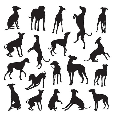 Whippet Silhouette, Greyhound Tattoo, Animals Silhouette, Grey Hound, Greyhound Art, Silhouette Tattoos, Grey Hound Dog, Irish Wolfhound, Monochrome Design