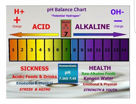 Ph Chart, Alkalizing Foods, Alkaline Body, Kangen Water Machine, Acid And Alkaline, Kangen Water, Acidic Foods, Ph Levels, Alkaline Diet