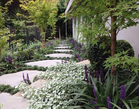 Small Front Garden Ideas, Small Front Gardens, Rose Garden Design, Side Yards, Landscape Plants, Modern Garden Design, Garden Designer, Classic Garden, Backyard Inspiration