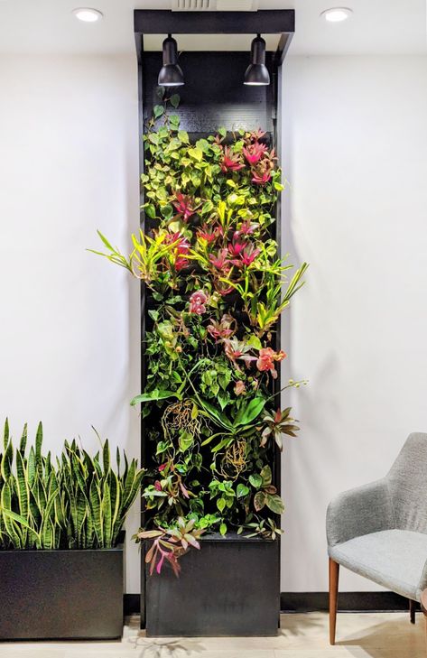 How to Add Orchids to Your Living Wall – Plants On Walls Hydroponic Living Wall, Orchid Wall Garden, Living Plant Wall Indoors, Plant Wall Ideas Indoor, Kitchen Snug, Indoor Living Wall, Plants On Walls, Hydroponic Tower, Vertical Plant Wall