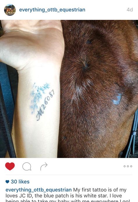 Horse lover equestrian meaningful tattoo Unique Horse Tattoos, Tattoos For Horse Lovers, Horse Tattoo Memorial, Meaningful Horse Tattoos, Tattoo For Horse That Passed, Thoroughbred Tattoo Ideas, Tattoo Ideas Equestrian, Equestrian Tattoo Ideas, Horse Memory Tattoo