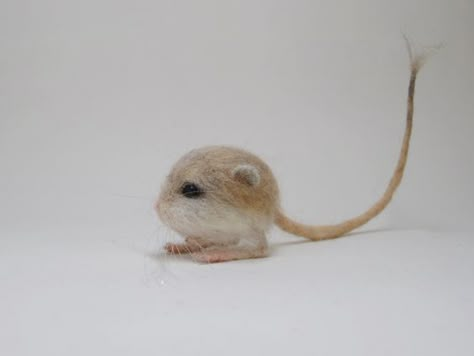 FAKE. The Baluchistan pygmy jerboa is the world's smallest (and possibly cutest) rodent. This photo, however, shows a felt doll. Unusual Animals, Cool Animals, Weird Animals, Needle Felt, Hamsters, Rodents, Little Animals, Felt Animals, Cute Little Animals