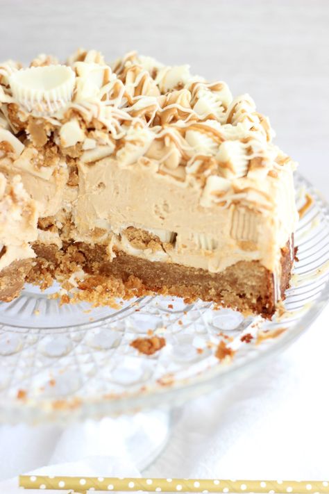 White Chocolate Peanut Butter Blondie Cheesecake Blondie Cheesecake, Peanut Butter Blondie, White Chocolate Peanut Butter, Coconut Dessert, Peanut Butter Cheesecake, Gateaux Cake, Cheesecake Desserts, Peanut Butter Recipes, Chocolate Cheesecake