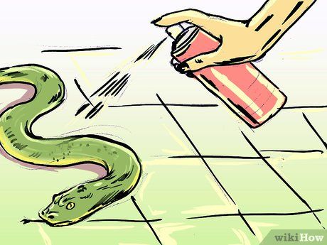 3 Ways to Get Rid of Snakes - wikiHow Snake Deterrent Diy, Snake Deterrent, Snake Repellant Plants, Snake Repellant, Snake Repellent, Repellent Diy, Blueberry Gardening, Get Rid Of Bed Bugs, Garden Snakes