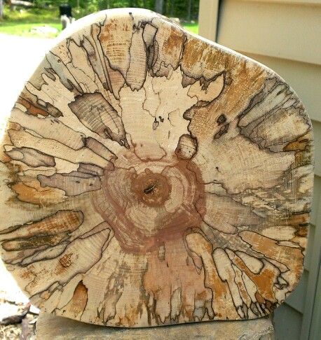 Spalted wood rounds Abstract Wood Carving, Spalted Wood, Driftwood Art Diy, Barn Wood Projects, Woodworking Basics, Rough Wood, Spalted Maple, Wood Carving Art, Diy Wood Projects Furniture