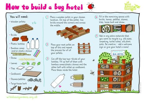 1,500+ insects are known to pollinate UK plants. Help them survive the winter with a bug hotel http://wtru.st/1lFFuTy  pic.twitter.com/xYIqrn7Rwq Build A Bug, Bug Hotels, School Gardens, Hedgehog House, Bee Hotel, Plants Uk, Bug Hotel, Insect Hotel, Bee House