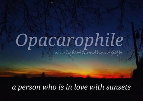 Opacarophile- Opacarophile Tattoo, Opacarophile Quotes, Descriptive Words For Atmosphere, Porphyrophile Quotes, Thalassophile Quotes, Porphyrophile Meaning, Words With Obscure Meaning, Hippie Words, Words For Writers