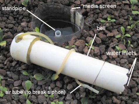 Ebb And Flow Hydroponics, Bell Siphon, Diy Aquaponics, To Improve Eyesight, Aquaponics Greenhouse, Aquaponics Plants, Aquaponic Gardening, Eye Sight Improvement, Small Greenhouse