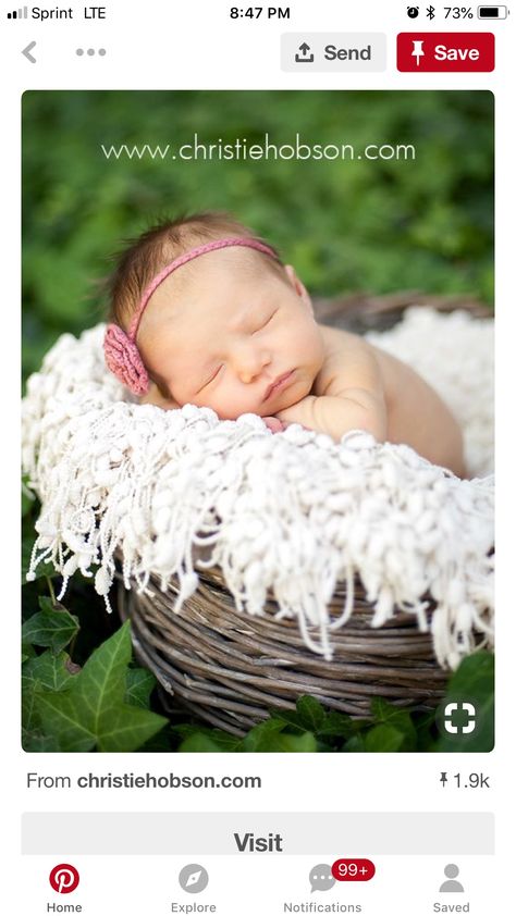 Outdoor Newborn Photos, Outdoor Newborn Photography, Infant Photos, Hummingbird Nest, Sweet Photo, Newborn Photography Poses, Newborn Pics, Outdoor Baby, Baby Poses