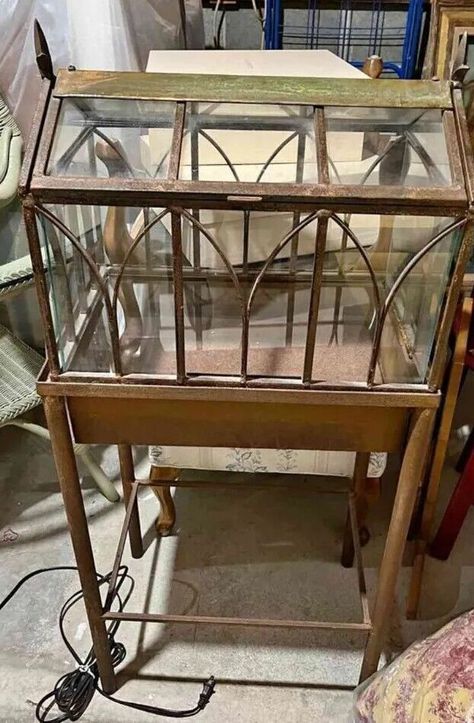 Greenhouse Terrarium, Wardian Case Terrariums, Glass Cabinet Terrarium, Wooden Terrarium, House Plant Display Ideas, Furniture Terrarium, Antique Terrarium, Victorian Terrariums, Large Glass Terrarium