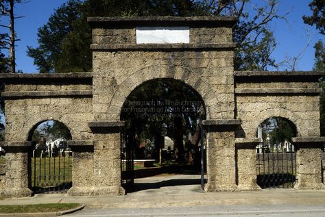 Cedar Grove Cemetery - What makes the arch unique is that it's made from a locally quarried stone which is made up of sea shells and the fossilized remains of sea creatures. What makes it creepy is that it weeps on people. The legend goes that if one is hit with a drop of liquid from the arch, they will be the next of the group to die and be carried in. Adding to the creep-factor is the old-timers who can give examples of this occurring, including names and dates. Cedar Grove, Old Cemeteries, Old Timers, New Bern, Grave Markers, Resting Place, The Arch, Grave Marker, Sea Creatures