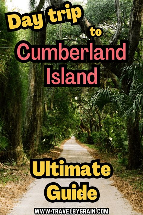 Day Trip to Cumberland Island Ultimate Guide - Travel by Grain Chincoteague Island Things To Do, Whidbey Island Things To Do, Georgia Bucket List, Plan Day, Gillian’s Island, Kelley’s Island Ohio, Cumberland Island, Summer 2025, Plan Your Trip