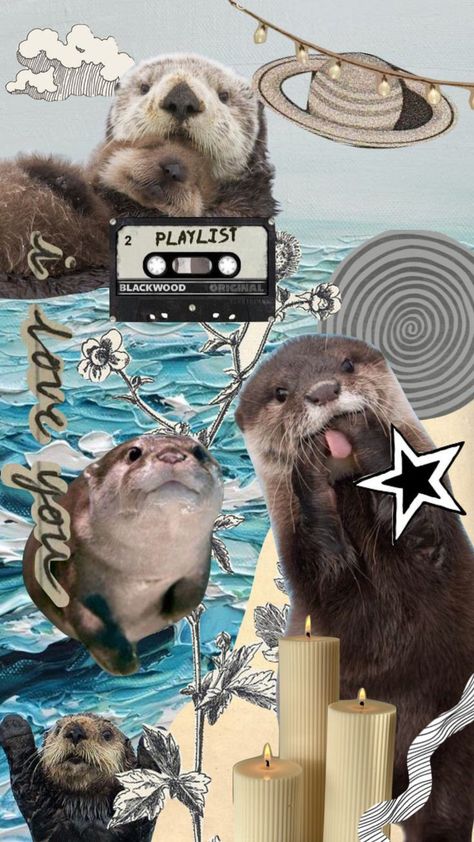 Sea Life Wallpaper, Odd Facts, Otter Art, Otters Cute, Cute Ferrets, Sea Otters, Baby Otters, Karakter Disney, Trash Panda