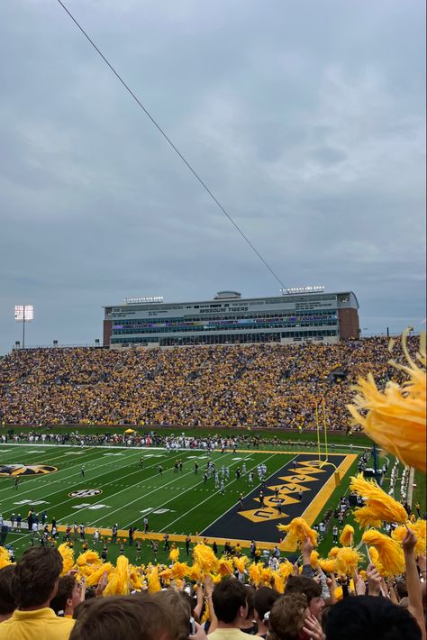 Mizzou Aesthetic, Mizzou Game Day, Mizzou Dorm, Meagan Brandy, Mizzou Football, College Necessities, College Vision Board, Mizzou Tigers, College Bedding