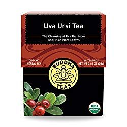 Uva Ursi Benefits, Corn Silk Tea, Reduce Water Retention, Water Retention Remedies, Spearmint Tea, Uva Ursi, Caffeine Free Tea, Health Tea, Kidney Health