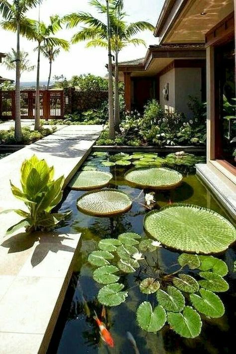 Moderne Have, Garden Landscaping Ideas, Fish Pond Gardens, Backyard Ponds, Pond Design, Garden Types, Healthy Garden, Ponds Backyard, Back Gardens