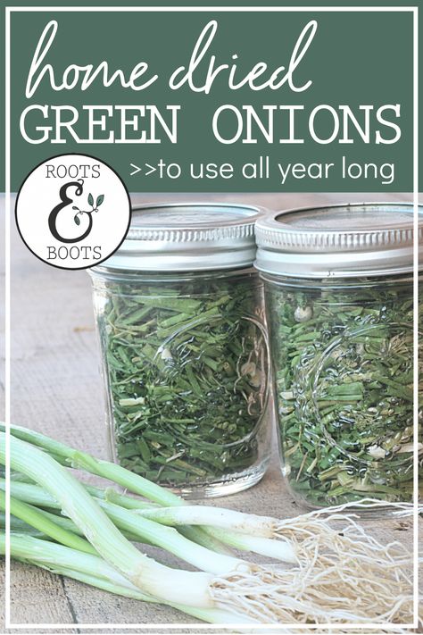 What To Do With Onion Tops, Dehydrate Green Onions, Green Onion Recipes, Drying Onions, Freezing Food Guide, Diy Homesteading, Green Onions Recipes, Food Dehydration, Homesteading Ideas