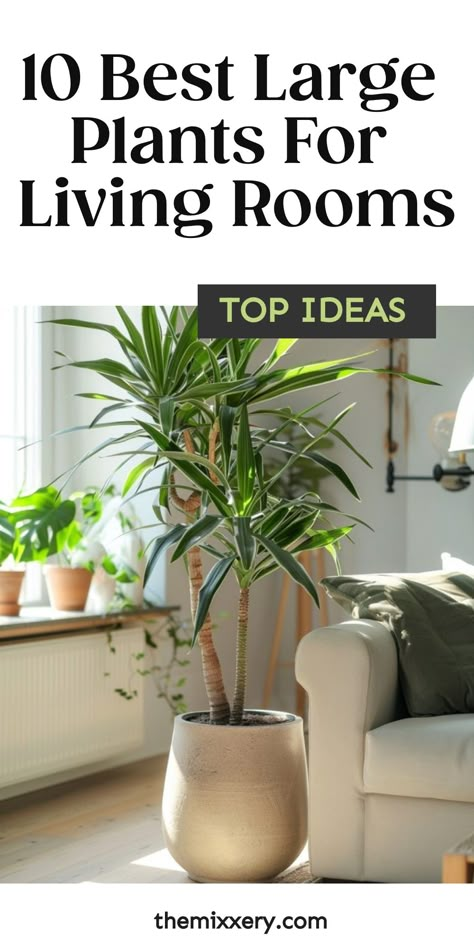 10 large plants decorating a sunlit living room. Indoor Plant Pots Ideas, Aesthetic Living Room Plants, Indoor Plants Living Room Ideas, Best Indoor House Plants, Planters In Living Room, Inside Planters Living Rooms, Large Living Room Plants, How To Place Plants In Living Room, Large Plant Display Indoor