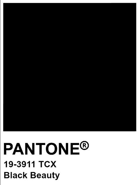 Pantone Color Black, Pantone Black Palette, Pantone Noir, Money Moodboard, Black Pantone, Pantone Black, Pantone Tcx, Black Palette, Pantone Colour Palettes