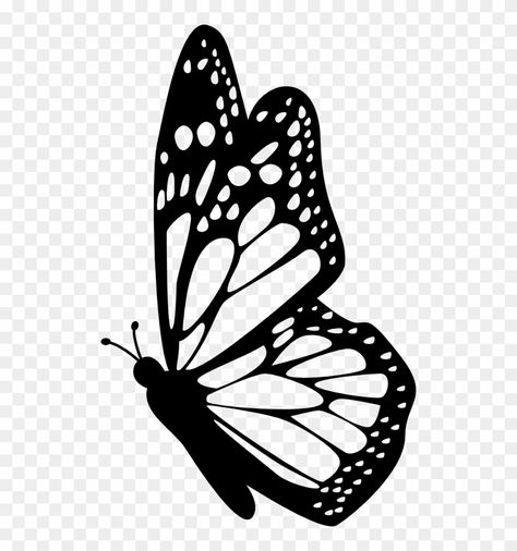 Butterfly Drawing Side View, Colorful Butterfly Drawing, Butterfly Drawing Ideas, Drawing Side View, Orange And Black Butterfly, Butterfly Tattoo Stencil, Side View Drawing, Clipart Butterfly, Butterfly Black And White