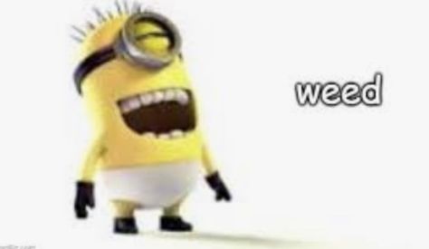 Beating Meme, Minion Banner, Minions Meme, Minion Meme, All Jokes, Hilarious Jokes, Reaction Memes, Minion Quotes, Big Three