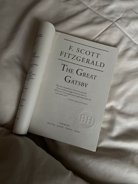 School Validation, The Great Gatsby Aesthetic, The Great Gatsby Book Cover, Great Gatsby Book Cover, Great Gatsby Aesthetic, Gatsby Aesthetic, The Great Gatsby Book, Monica Murphy, Gatsby Book