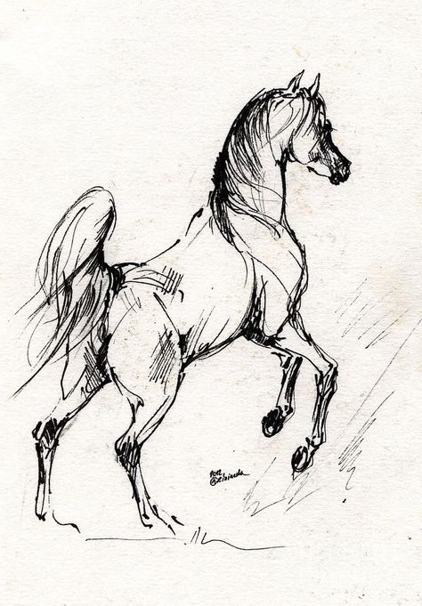 Horse Art Drawing, Painted Horses, Horse Sketch, Horse Tattoo, White Drawing, Horse Drawing, Horse Drawings, Arte Sketchbook, Equine Art