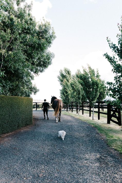 Horse rider Meaghan Willis' dream was to own a property that would allow her to live close to her horses. That was exactly what she found at Jimsbury Park at Hanging Rock, Victoria. It is where she has created a formal country garden and her dream stables. Equestrian Stables, Australian Garden Design, Country Garden Design, Bee Friendly Garden, Horse Arena, Hanging Rock, Dream Stables, Farm Layout, Garden Inspo