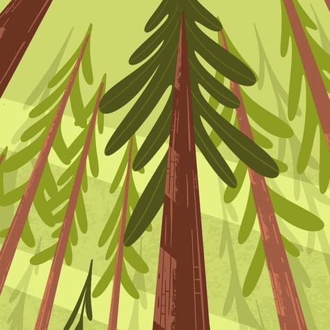 Redwood Illustration, Garage Mural, Stylized Landscape, Draw Everyday, Nevada National Parks, Forest Cartoon, Postcard Illustration, Sequoia Tree, Drawing Procreate