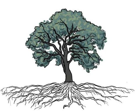 Searching for the Ideal Oak - Katura's Sketch-blog Oak Tree Drawings, Tree Line Drawing, Urban Forestry, Tree Carving, Tree Drawing, Tree Tattoo, Things I Love, Crafty Projects, Oak Tree