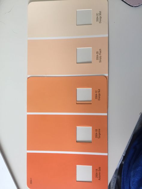 Tangerine Wall Color, Pale Orange Living Room Walls, Light Orange Bathroom Walls, Peach Color Wall Paint, Light Orange Wall Color, Peach Color Furniture, Orange Painted Walls Living Room, Peach Accent Wall Living Room, Orange Paint Kitchen