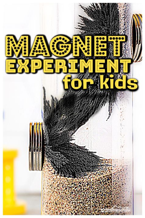 Magnets Activities, Magnet Science Experiment, Magnet Lessons, Magnet Experiments, Summer Science Activities, Summer Science Experiments, Simple Science Experiments, Magnet Science, Magnet Activities