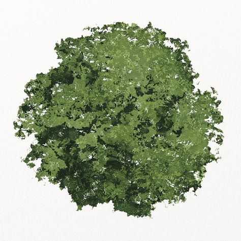 Green tree top view, watercolor illustration isolated on white background, nature design psd | premium image by rawpixel.com / bass Trees Top View Architecture, Tree Illustration Watercolor, Plan Tree Architecture, Trees Plan Architecture, Tree Top View Png Photoshop, Tree Top View Watercolor, Tree Top View Drawing, Tree Plan Drawing, Tree Photoshop Architecture