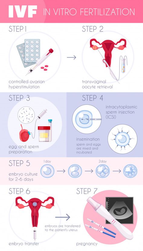 Ivf Preparation, Ivf Success Rates, Gynecological Problems, Ivf Pregnancy, Pregnancy Progression, Ivf Baby, Ivf Cycle, Florist Logo, Embryo Transfer