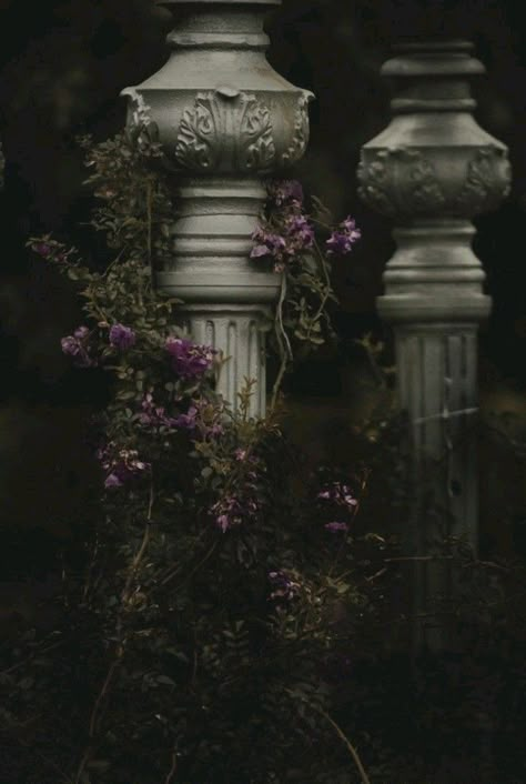 Olgierd Von Everec, Dark Naturalism, Dark Acadamia, Flowers Growing, Yennefer Of Vengerberg, Royalty Aesthetic, Royal Aesthetic, Midnight Garden, Slytherin Aesthetic