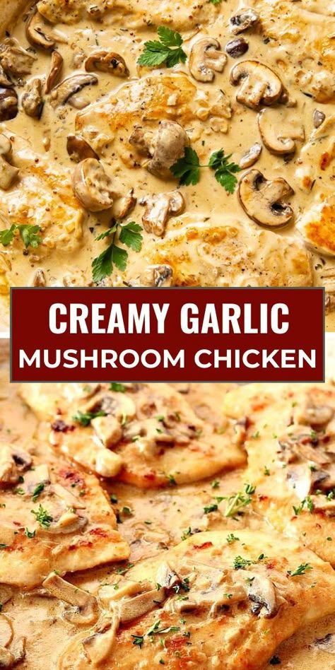 Garlic, sauteed mushrooms, and a rich cream sauce are a winning combo in this easy chicken dinner recipe! Pantry staples, 30 minutes, and it's on the table. #creamy #garlic #mushroom #chicken Chicken Mushroom Recipes Keto, Creamy Chicken Dinner Ideas, Supper Ideas With Mushrooms, Baked Creamy Mushroom Chicken, Garlic Chicken And Mushrooms, Chicken Onion Mushroom Recipes, Pesto Mushroom Chicken, Easy Comfort Food Recipes Simple Dinners, Week Supper Ideas