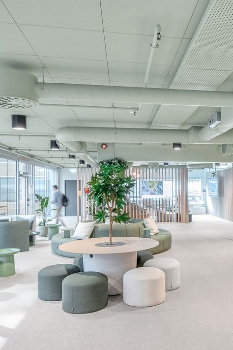 A cosy office with circular tables, small sitting stools, and a soft sage green ceiling Wellness Room Workplace, Natural Office, Office Inspiration Workspaces, Acoustical Ceiling, Acoustic Ceiling Tiles, Wellness Room, Office Ceiling, Commercial Office Design, Open Ceiling