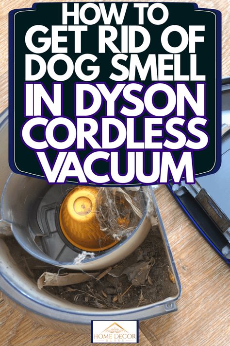 How To Make Vacuum Smell Good, Smelly Vacuum Cleaner, Clean Dyson Vacuum, Dyson Cordless Vacuum, Dyson Cordless, Vacuum Container, Dyson Vacuum Cleaner, Urine Smells, Pet Vacuum