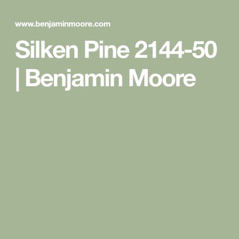 Benjamin Moore Silken Pine, Silken Pine Benjamin Moore, Benjamin Moore Pashmina, Aloe Green, Office Time, Benjamin Moore Colors, Benjamin Moore, Paint Colors, Basement