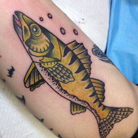 Walleye-Sauger Tattoo, walleye tattoo, walleye tattoo ideas, walleye tattoo pictures, forearm walleye tattoo, realistic walleye tattoo designs, tribal walleye tattoo, walleye tattoo designs, walleye tattoo back, realistic walleye tattoo, traditional walleye tattoo, walleye tattoo on back, infisherman walleye tattoo, walleye tattoo sketch, walleye tattoo slweeve, fishing walleye tattoo, black walleye tattoo, walleye tattoo sleeve, walleye tattoo water color, walleye tattoo watercolor Walleye Tattoo, Pallet Fish, Tattoo On Back, Tattoo Watercolor, Tattoo Water, Tattoo Back, Tattoo Pictures, Fusion Ink, Tattoo Traditional