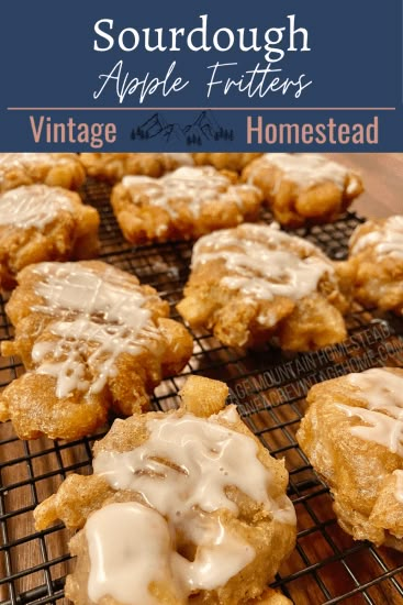 Sourdough Apple Fritters, Sourdough Apple, Vintage Homestead, Friendship Bread Starter, Recipe Using Sourdough Starter, Sourdough Bread Starter, Friendship Bread, Bread Sourdough, Sourdough Starter Discard Recipe