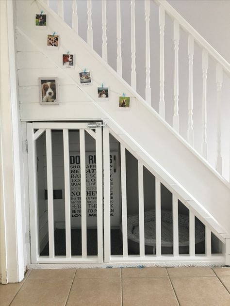 Dog Under Stairs, Stairs Dog House, Under Stairs Dog House, Space Under Stairs, Room Under Stairs, Dog House Ideas, Dog Space, Dog Bedroom, Puppy Room