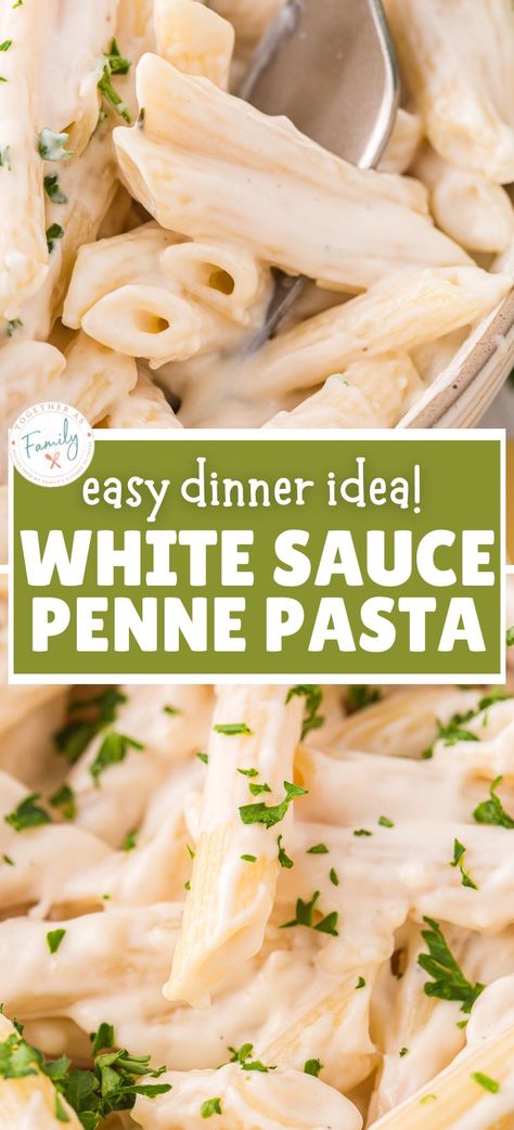 Easy Homemade Pasta Sauce White, Pasta Bake White Sauce, White Pasta Sauce Recipe Milk, White Italian Sauce Recipes, White Sauce Hamburger Pasta, Pena Pasta Recipes, Shrimp White Sauce Pasta, Chicken And White Sauce, White Pasta With Chicken